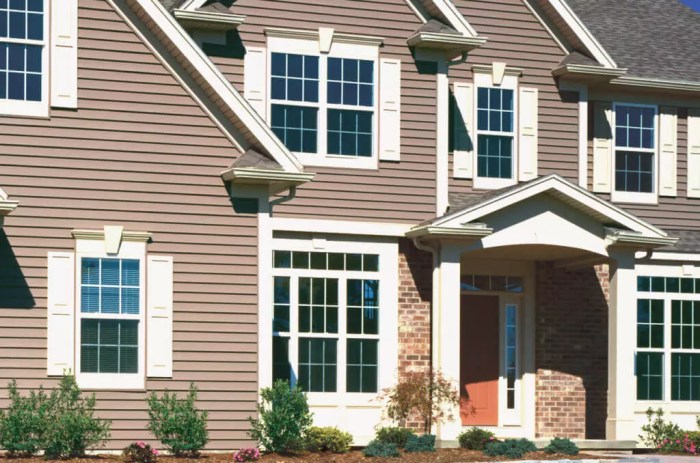 Vinyl Siding Vinyl Siding